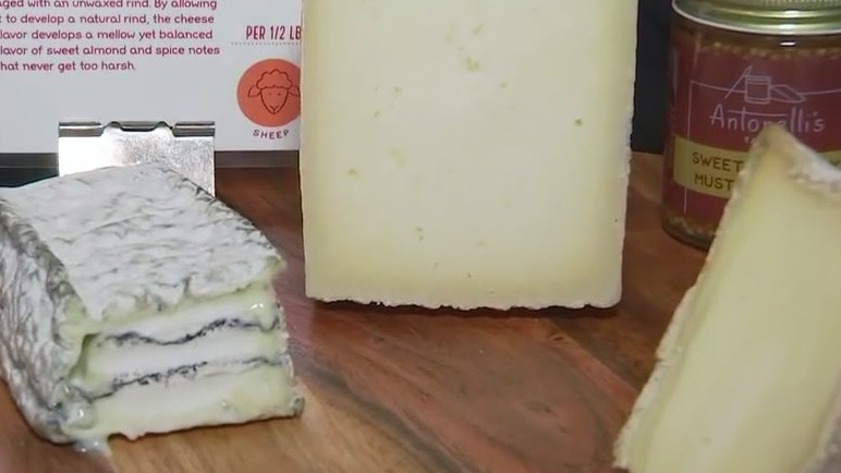 Learning about cheese at Antonelli's Cheese Shop